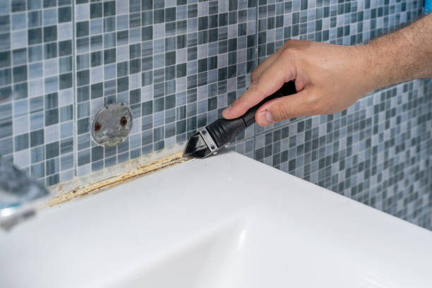 Best Kitchen Mold Remediation in Orida Gulf Coast University, FL