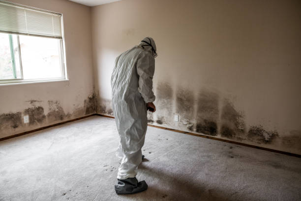 Best Industrial Mold Remediation in Orida Gulf Coast University, FL